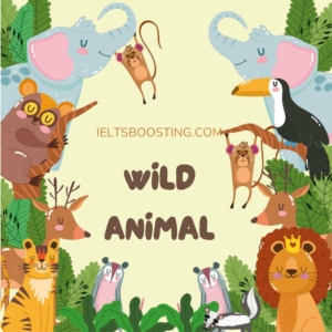 wild animal ielts speaking part 1