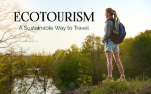 World Ecotourism in the developing courtiers